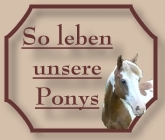 Ponyleben_-_CV-Ponyfarm